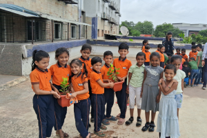 Plantation by NIOS Students
