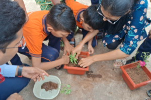 Plantation by NIOS Students