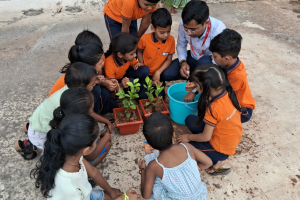 Plantation by NIOS Students