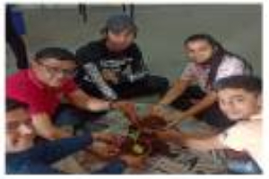 Understanding Organic Farming