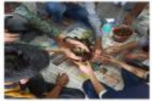 Understanding Organic Farming