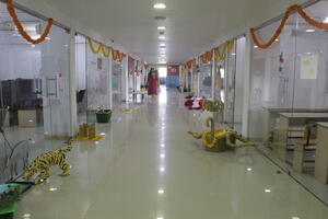Diwali Celebration